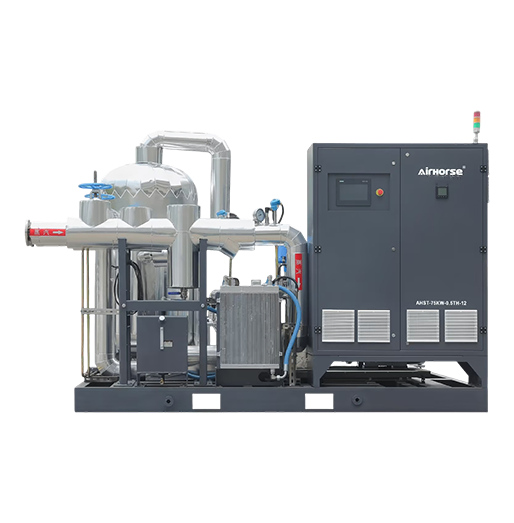 Screw Steam Compressor